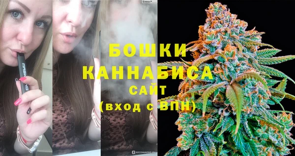 ешки Новозыбков